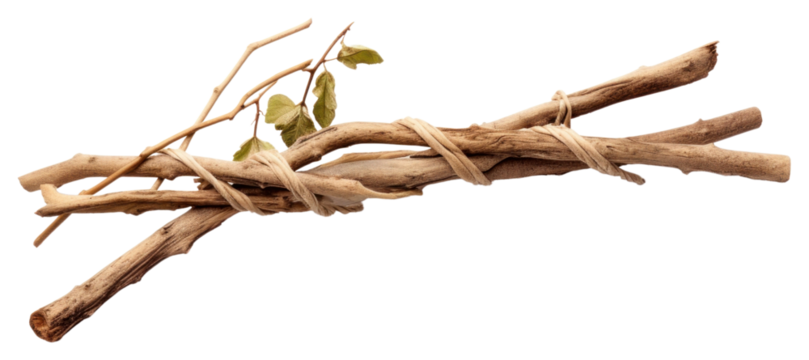 PNG Wood driftwood white background freshness.