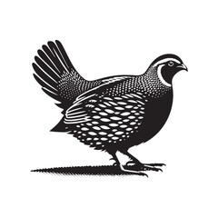 Quail silhouette shape variation - minimallest quail vector