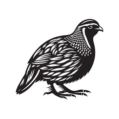 Quail bird silhouette artwork - minimallest quail vector
