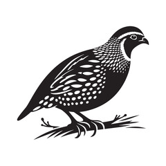 Elegant quail silhouette graphic - quail illustration - quail black vector