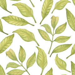 Seamless pattern with leaves watercolor illustration floating in the air composition. Botanical drawing sketch stylized. Hand drawn, suitable for food packaging design