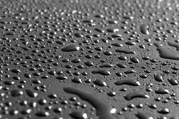 Water drops on a black background. Texture