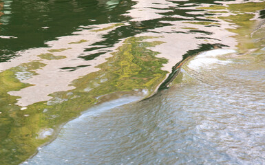 The surface of the water in the river as an abstract background. Texture