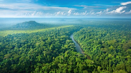 An expansive landscape of a dense tropical jungle, with layers of vibrant green foliage and a river winding through the forest under a bright blue sky.