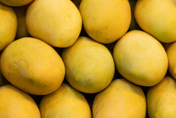 ripe yellow mango as background.