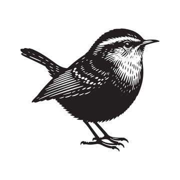 recommend clip art: Graceful wren silhouette in vector - minimallest wren illustration