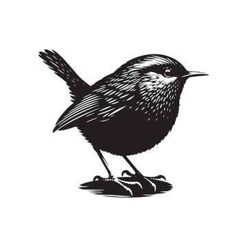 recommend clip art: Wren silhouette profile view - wren illustration - wren black vector