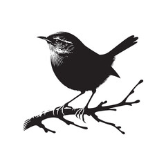 Elegant wren silhouette graphic - wren illustration - wren black vector