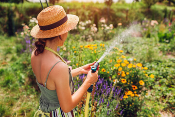 Back view of woman gardener in straw hat watering plants with hose pipe in summer garden. Taking...