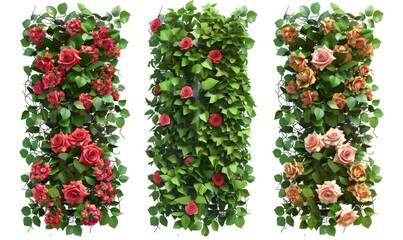 Fototapeta premium Set of decorative vertical green walls covered with climbing plants and flowers