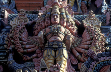 Fototapeta premium INDIA TAMIL NADU MADURAI MEENAKSHI TEMPLE