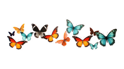 Fototapeta premium PNG Butterfly animal insect flying.