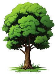 PNG Tree cartoon plant green.