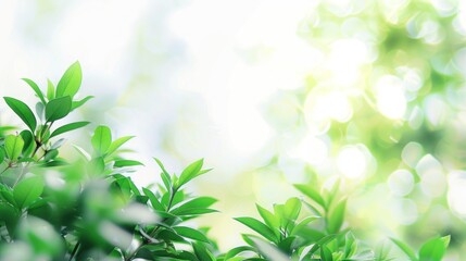Obraz premium An abstract blurred background of green plants against a white sky with bokeh light, ideal for a minimalist
