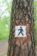 Naklejka premium Trail mark or traffic sign painted on trees showing direction for hikers on hiking trails in forest in Poland, Europe