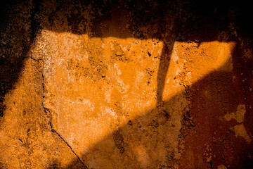 Realistic Botanical Plant Shadow on the Wall