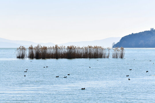 Tuoro sul Trasimeno