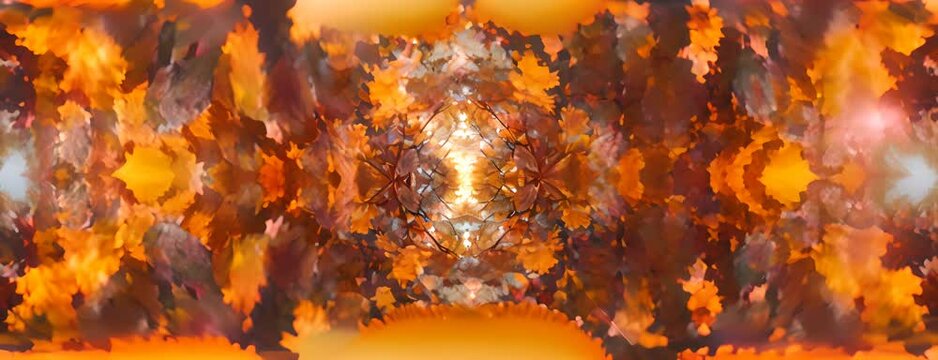 Autumn leaf peeping in a vibrant forest, kaleidoscope of colors and natural beauty, 4K hyperrealistic photo. 4K Video