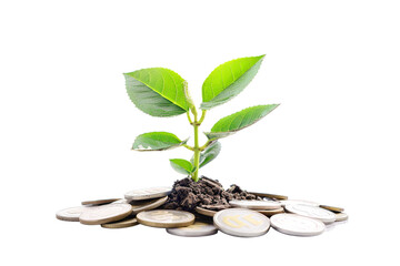 A plant growing from a pile of coins, symbolizing investment growth isolated on White background PNG 