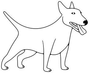 Miniature bull terrier and bull terrier, dog. Animal, pet, pet shop and veterinary clinic, illustration