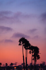 Sunset with Silhouetted Palm Trees