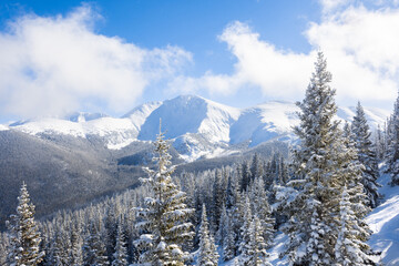 Snowy Winter Alpine Landscape with Snow-Covered Trees