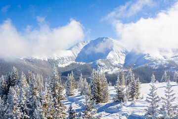 Snowy Winter Alpine Landscape with Snow-Covered Trees