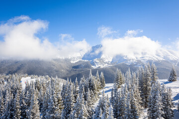 Snowy Winter Alpine Landscape with Snow-Covered Trees