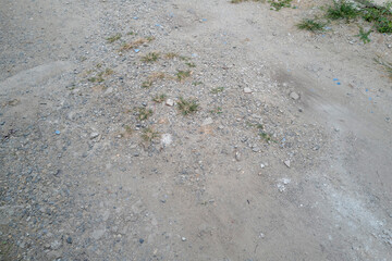 Rocky trail pathway among natural green park