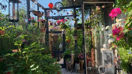Roof top terrace, full of colourful flowers which are in full bloom.