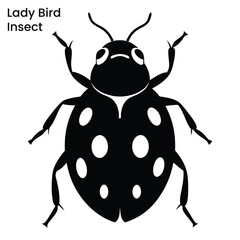 Funny ladybug in doodle style. Hand drawn cute insect vector illustration.