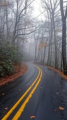 Fototapeta premium Snowy Day with a Winding Road with Yellow Line in a Forest. Ideal for Travel, Scenic Routes, and Outdoor Adventures. Perfect for Seasonal Themes like Winter, Autumn, Spring, and Four Seasons. AI-Gener