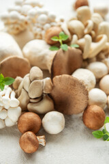 Assortment of various mushrooms