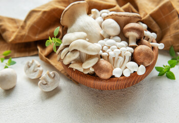 Assortment of various mushrooms
