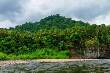 tropical jungle landscape
