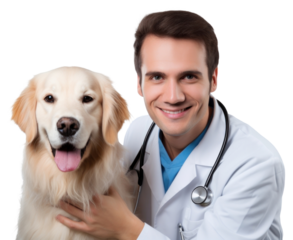 PNG Veterinarian dog mammal animal.