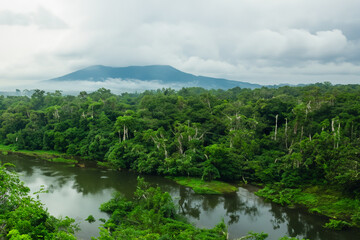 Fototapeta premium tropical jungle landscape