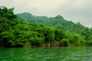 Fototapeta premium tropical jungle landscape