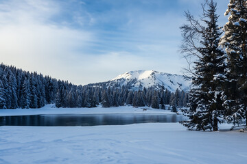 Obraz premium Winter Landscape