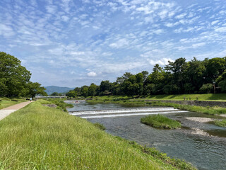 初夏の賀茂川