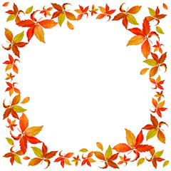 Autumn frame with leaves. Wreath autumn leafs. Watercolor texture of brown, ocher, red, orange on a white transparent background