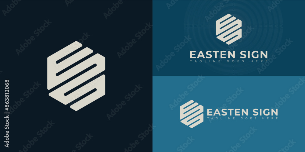 Poster abstract initial hexagon letters es or se logo in white color isolated on multiple background colors