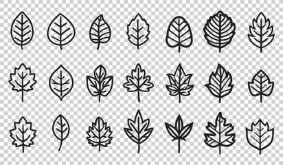 Leaves Icons Set - Different Vector Illustrations Isolated On Transparent Background
