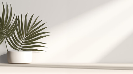 Fond compos&eacute; d'un mur blanc, avec lumi&egrave;re et ombre et plante d&eacute;corative. Ambiance calme, &eacute;pur&eacute;e, luxe. Arri&egrave;re-plan pour conception et cr&eacute;ation graphique.