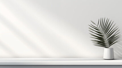 Fond compos&eacute; d'un mur blanc, avec lumi&egrave;re et ombre et plante d&eacute;corative. Ambiance calme, &eacute;pur&eacute;e, luxe. Arri&egrave;re-plan pour conception et cr&eacute;ation graphique.