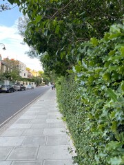 the road in the city