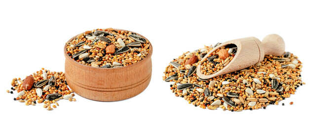 Set of parrot or rodent mixed fodder of dried nuts and seeds isolated on white background.