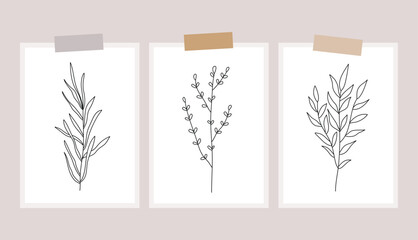 Obraz premium Outline plants set, line drawing art, wildflowers set, botanical plants isolated, simple art design, abstract line outline, vector for frame, fashion design
