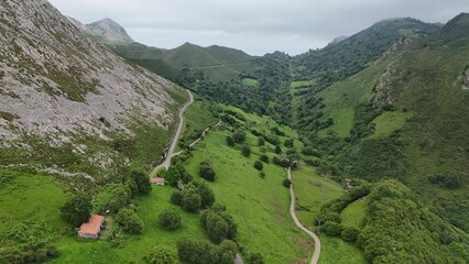 Peisaje de monta&ntilde;as  verde y arboles en Asturias