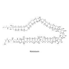 Obraz premium Maitotoxin skeletal structure diagram. compound molecule scientific illustration.